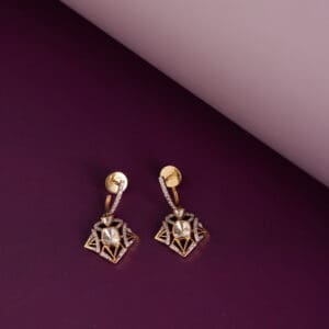 14kt Gold Diamond Earrings PKE14/21