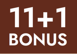 bonus 11